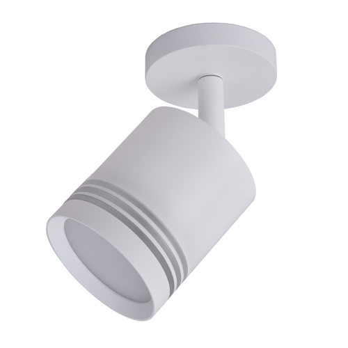 Накладной светильник Favourite Darar 3065-1U