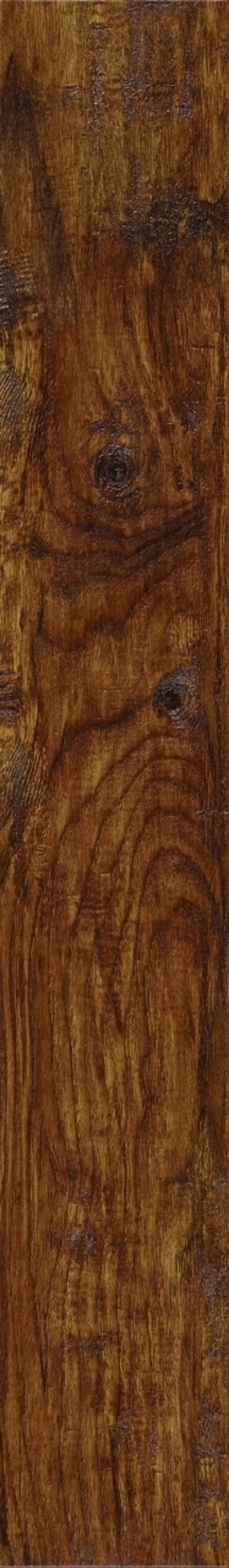 Eastern Hickory 57885