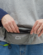Поясная сумка Anteater Waistbag-RST-Grey