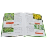 Быть или не быть...