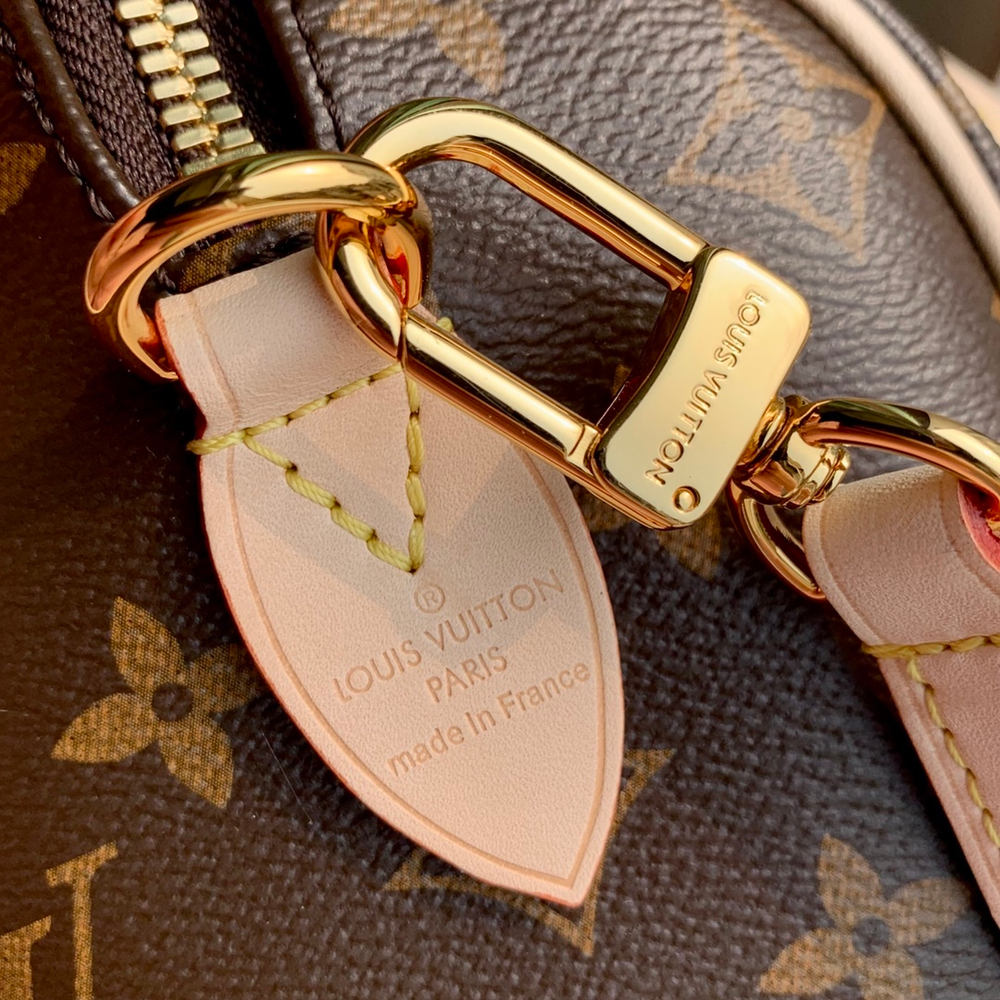 Louis Vuitton Speedy 20