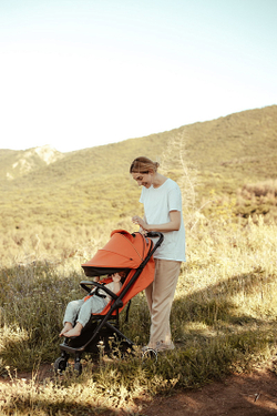 Детская прогулочная коляска Anex AIR-X Ax-01 terracotta