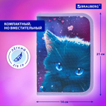 Пенал BRAUBERG 1 отделение 1 откидная планка полиэстер 21х14 см "Anime cat" (2 штуки в упаковке)