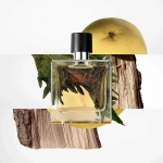 Hermes туалетная вода Terre d'Hermes, 50 мл, 50 г