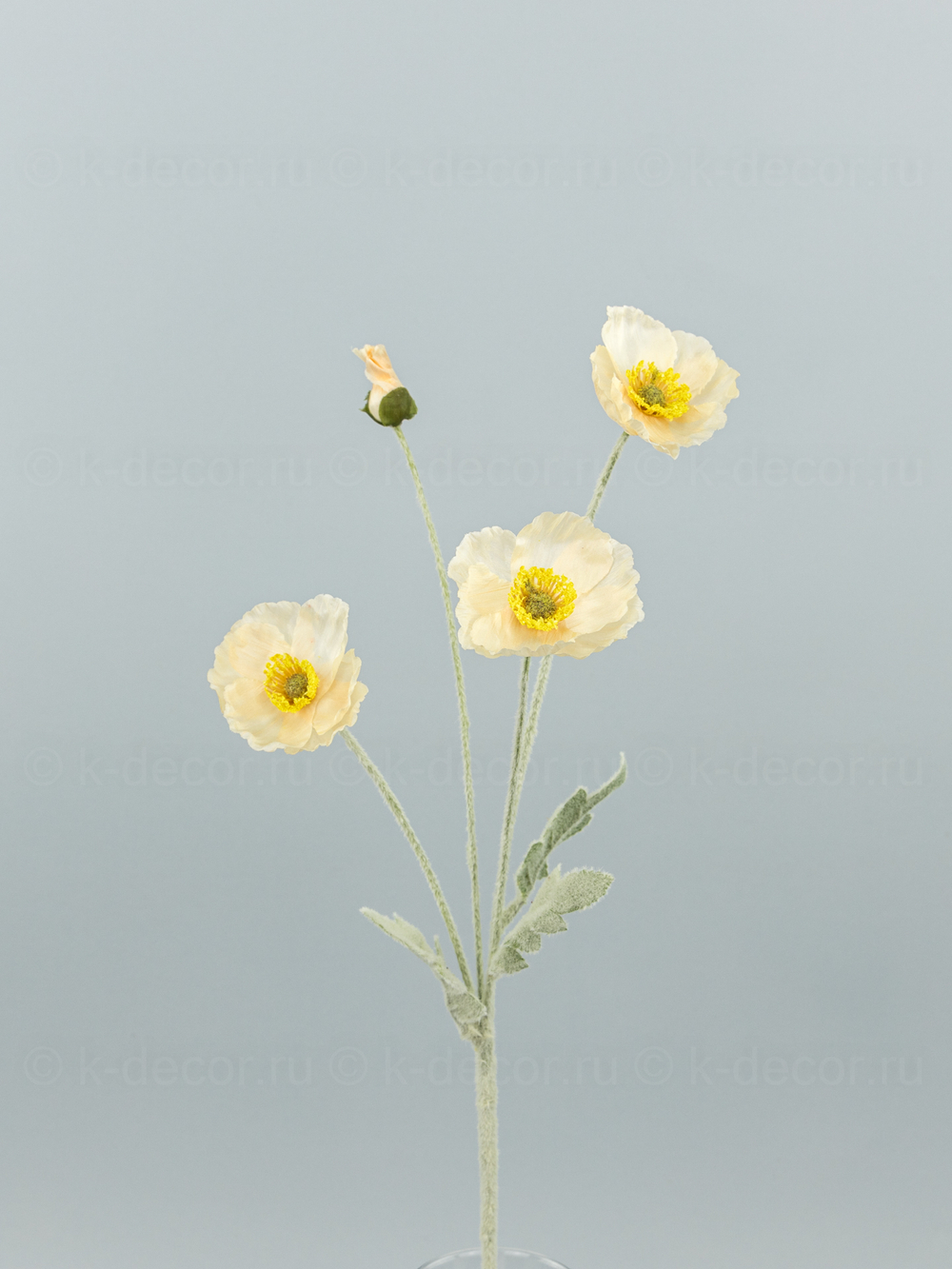 Ветка мака Мария