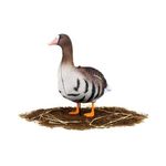 Комплект чучел Белолобый (10шт) S-XPE B622-3D "North Way"