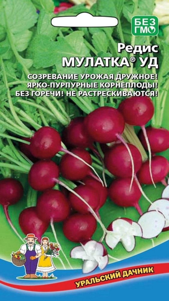 Редис &quot;G. Мулатка&quot; 1г., Россия.