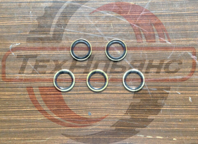 Сальник 40*55*4