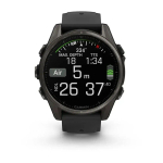 Смарт-часы Garmin fenix 8 AMOLED (43 мм) Sapphire карбоново-серый DLC титан черный/гравийно-серый