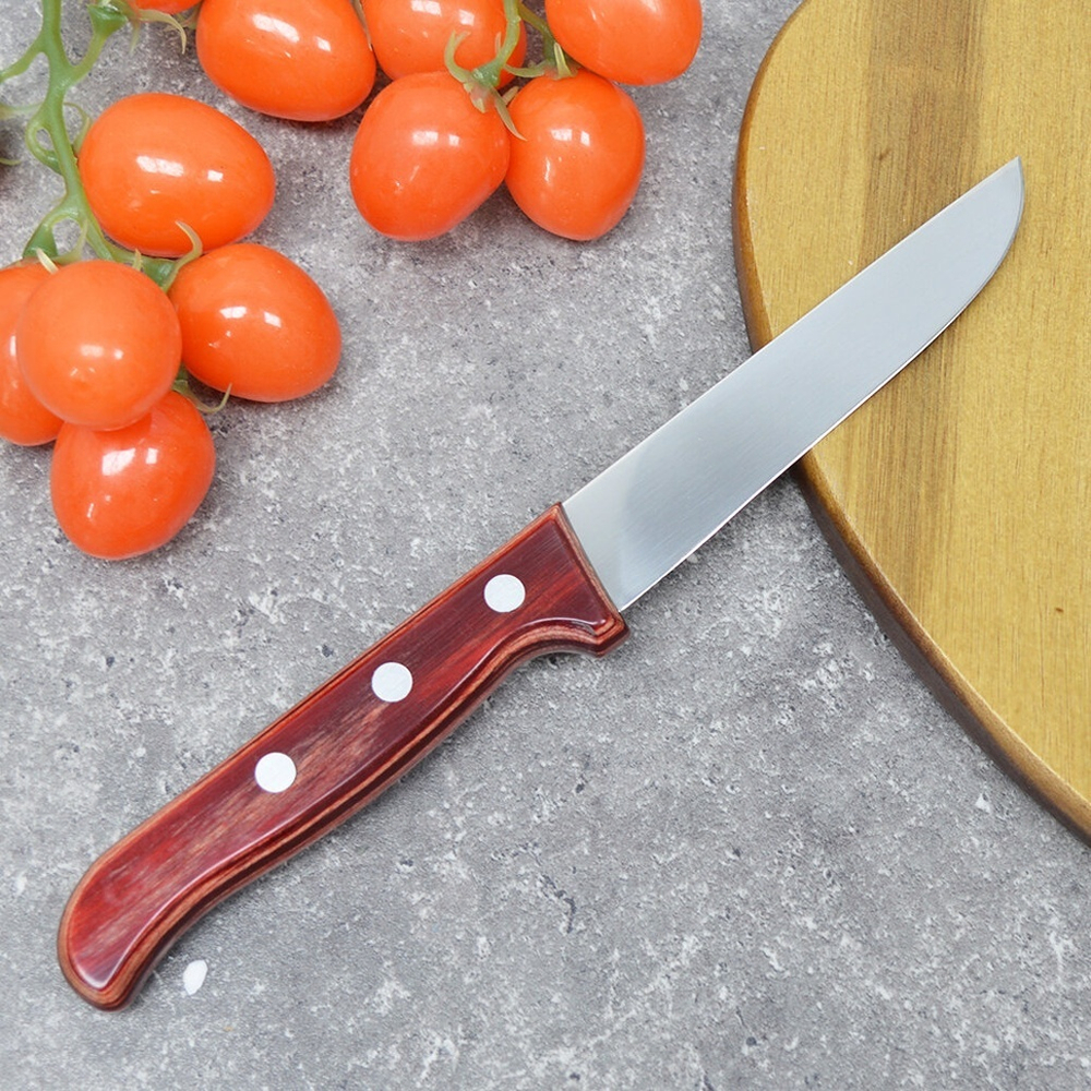 Нож кухонный Tramontina Polywood 10см, 871080