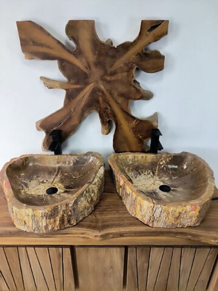 Раковина из окаменелого дерева ПАРА! OD-66454 60x53x14 натурального камня