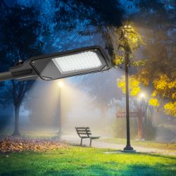 Уличный светильник ЭРА SPP-504-0-50K-050 50Вт 5000лм 5000К IP65 КСС Д DOB SMD 48мм