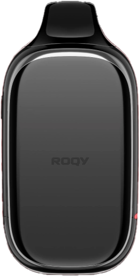 ОЭС (М) Plonq Roqy L 20000 Кислая Черника Малина