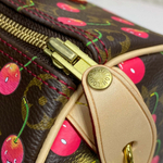 Louis Vuitton Speedy 25