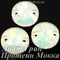 Пришивной риволи с 2 отверстиями, ЛС Лайт Грин Протеин Мокка (рив.)