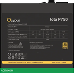 Блок питания Ocypus Iota P750 750W Black (Iota-P750-G1FFBK024X-EU)