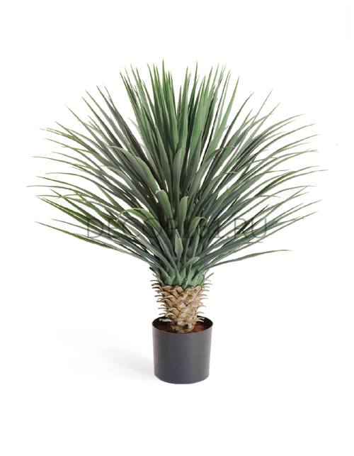 Юкка Рострата куст Де Люкс в-85 см 2/2 10.47902XL