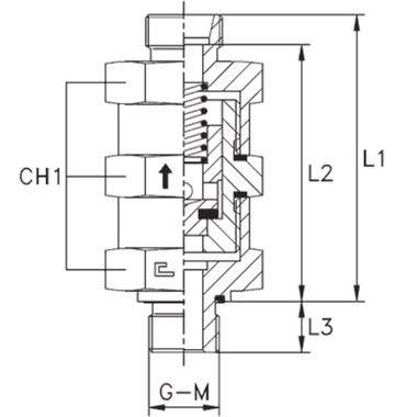 Клапан обратный с наружной резьбой DS20 BSP 3/4" выпускной (корпус) CAST