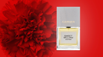 Carner Barcelona Sweet William