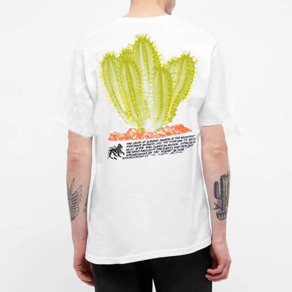 Футболки Stussy Desert Bloom Tee T, 1904686