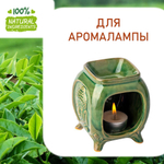 Зеленый чай, отдушка для свечей и мыла