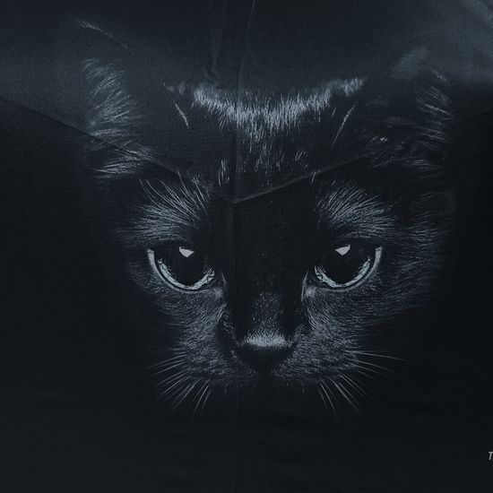 Женский зонт Три Слона - Полный автомат 3870-A-03