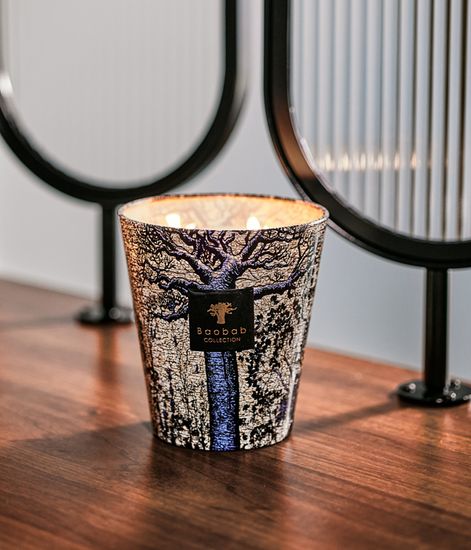 Seguela, свеча MAX 10 Sacred Trees collection, Baobab Collection
