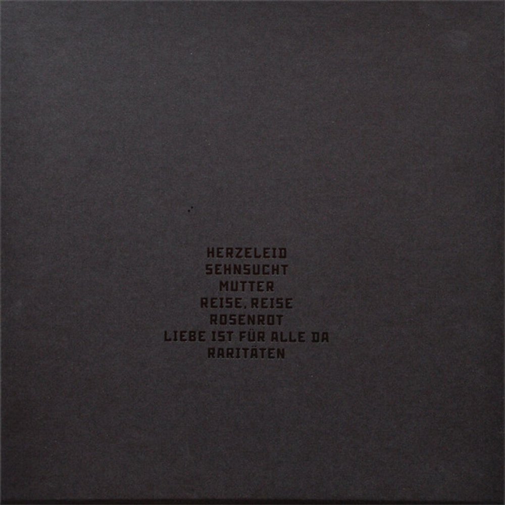 Rammstein / XXI (Limited Edition)(14LP)