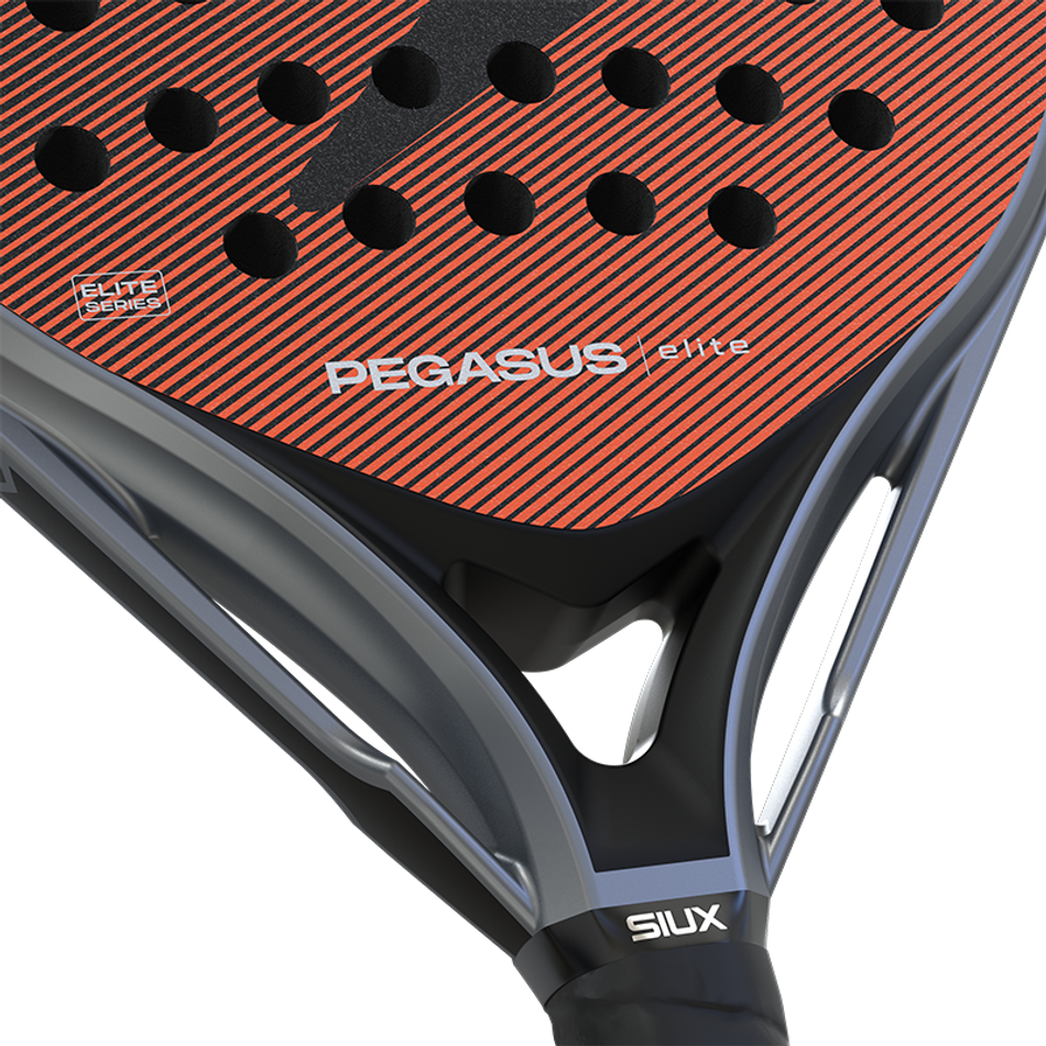 Ракетка  Siux Pegasus Elite 4 2026