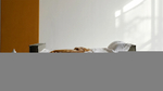 Диван Софт 3 Cilium Brown 240*94*80 см, Коричневый Вельвет Еврокнижка Фиеста