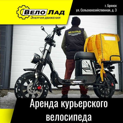 Аренда электровелосипеда