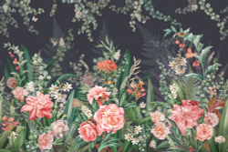 Коллекция Aurora