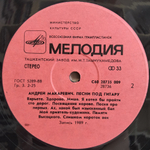 Андрей Макаревич / Песни Под Гитару (LP)