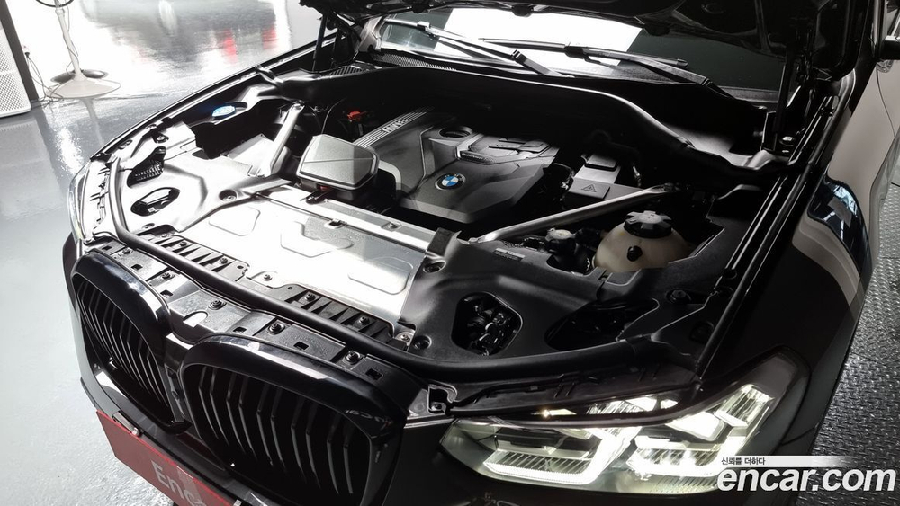 BMW X4 (G02) xDrive20i xLine (02.2022)