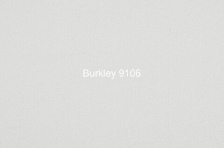 Шенилл Burkley (Баркли) 9106