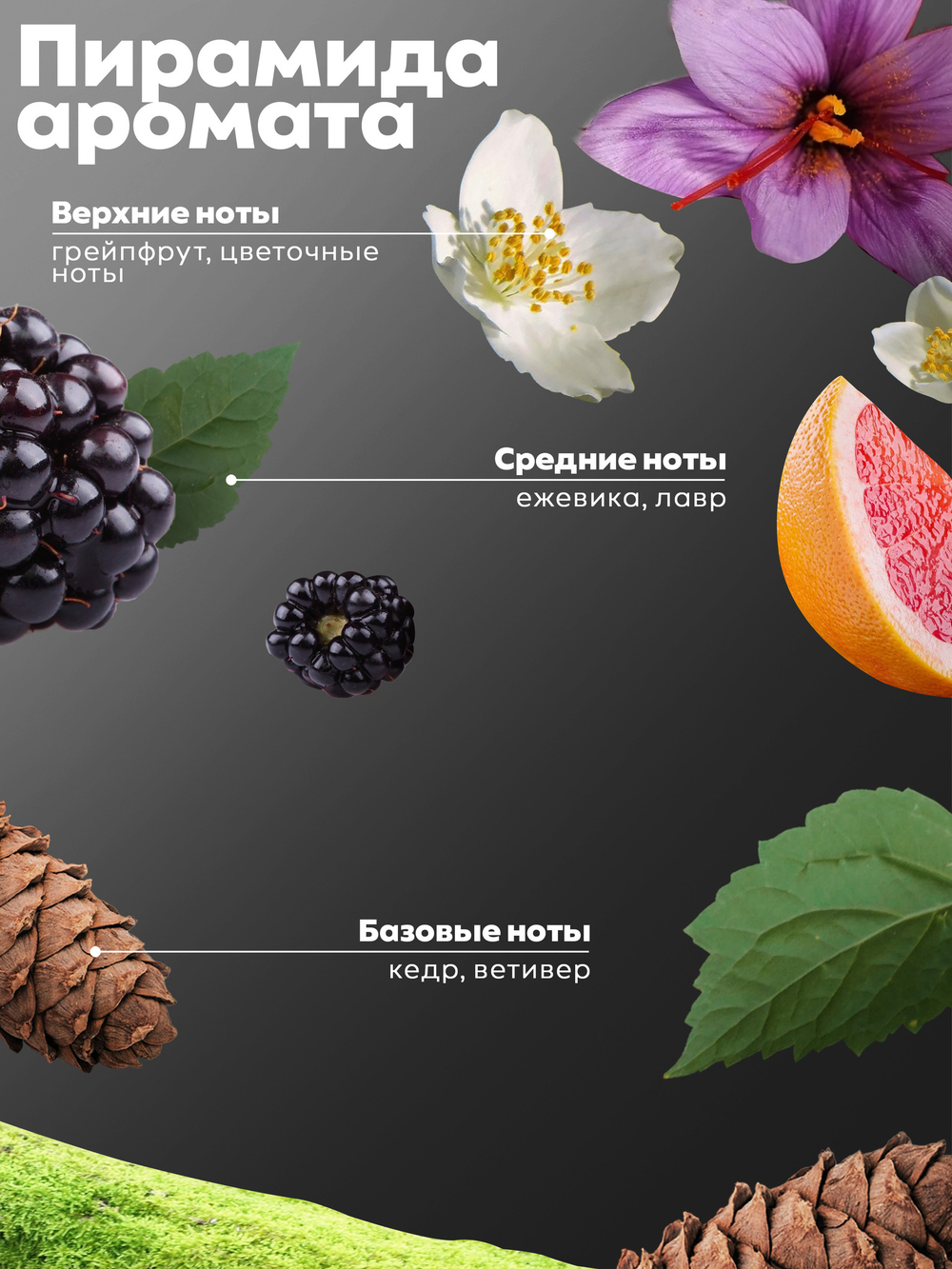 Гель для душа парфюмированный "BLACKBERRY & BAY" 460 мл. MANITA PROFESSIONAL