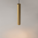 Подвесной светильник Maytoni MOD161PL-01G1