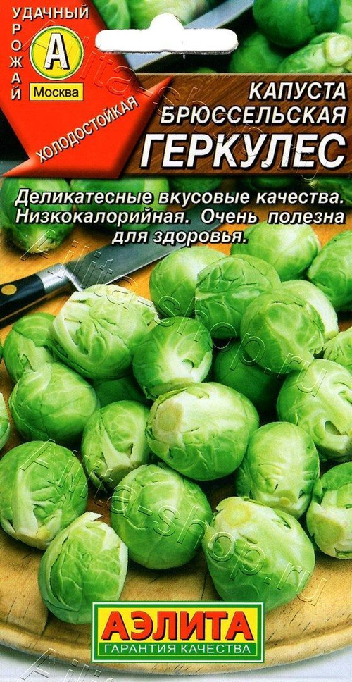 Капуста брюссельская Геркулес