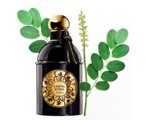 Guerlain Les Absolus d'Orient Santal Royal