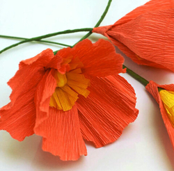 Бумага крепированная 50*250 см оранжевая БРАУБЕРГ (126530)