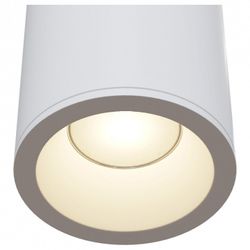 Накладной светильник Maytoni Zoom C029CL-01W