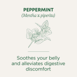 Traditional Medicinals, органическая перечная мята, без кофеина, 16 чайных пакетиков, 24 г (0,85 унции)