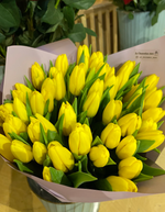 Букет из 51 жёлтого тюльпана Стронг Голд