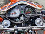 RC 250 GY - C2 PANTHER ЭНДУРО оранжевый