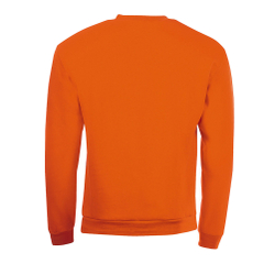 Свитшот SPIDER Белый  S