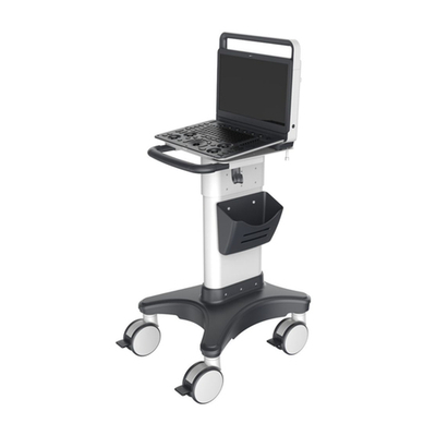 УЗИ аппарат SonoScape E1