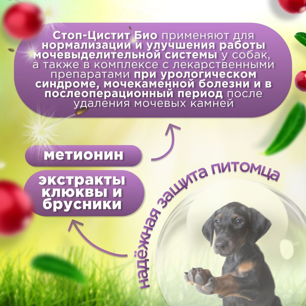 Кормовая добавка для нормализации и улучшения мочевыделительной системы и профилактики цистита, суспензия для собак Стоп-цистит БИО (Apicenna), 50мл