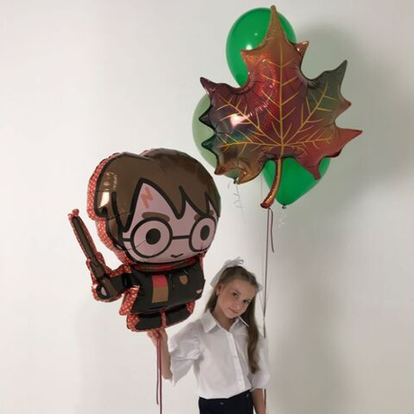 Сет "С Поттером"