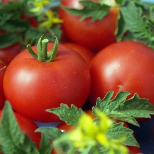 Московский