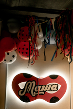 Lady Bug Party